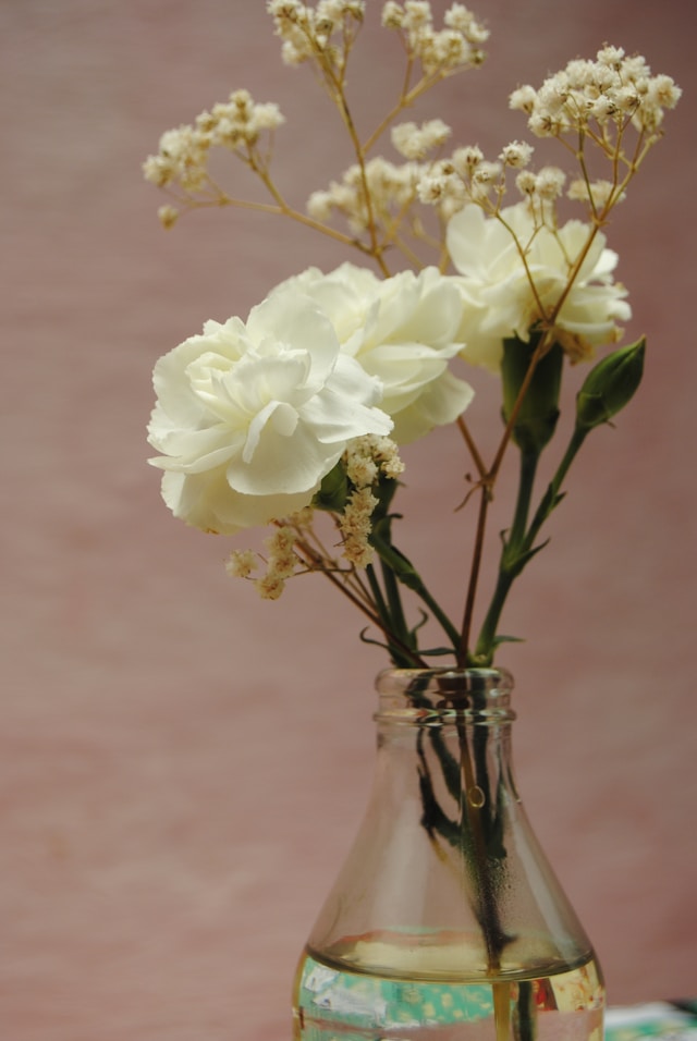 flowers in a vase