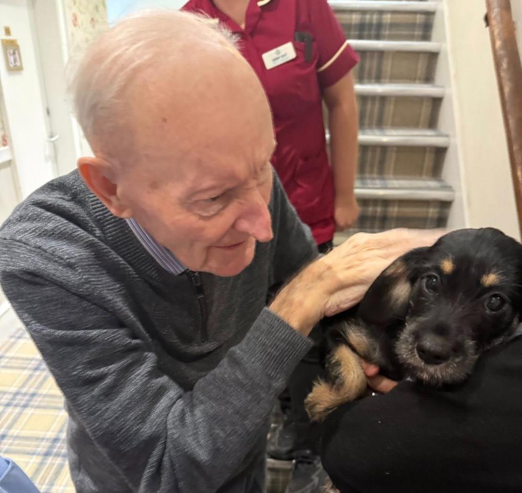 elderly man in care home petting a therapy dog